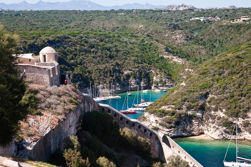Bonifacio